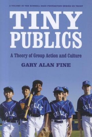 Könyv Tiny Publics Gary Alan Fine