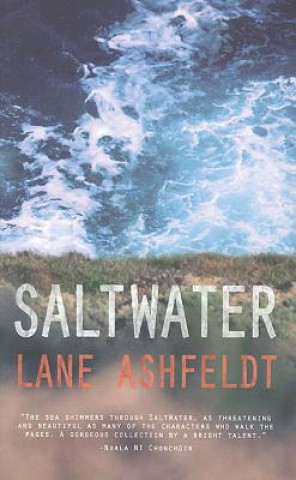 Kniha Saltwater Lane Ashfeldt