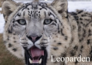 Calendar / Agendă Leoparden (Wandkalender immerwährend DIN A2 quer) Elisabeth Stanzer