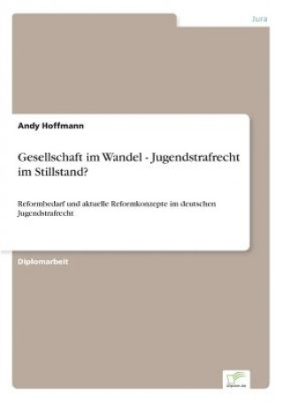 Kniha Gesellschaft im Wandel - Jugendstrafrecht im Stillstand? Andy Hoffmann