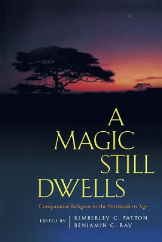 Книга Magic Still Dwells Kimberley C. Patton