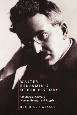 Carte Walter Benjamin's Other History Beatrice Hanssen