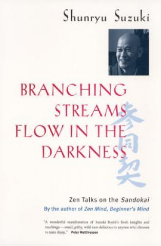 Книга Branching Streams Flow in the Darkness Mel Weitsman