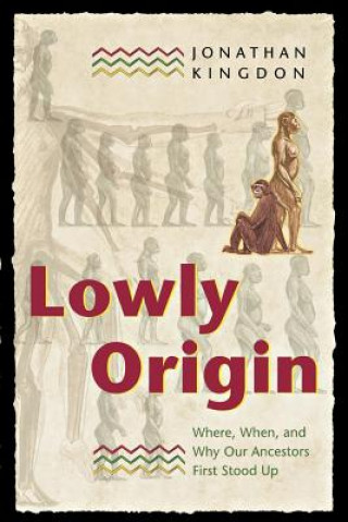Kniha Lowly Origin Jonathan Kingdon