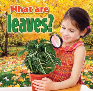 Kniha What Are Leaves Kelley MacAulay