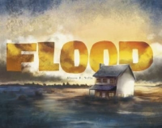 Knjiga Flood Alvaro F Villa
