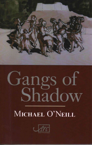 Kniha Gangs of Shadow Michael O´Neill