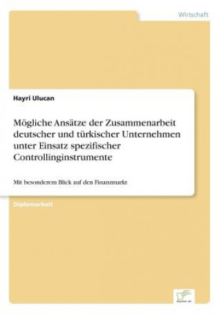 Книга Moegliche Ansatze der Zusammenarbeit deutscher und turkischer Unternehmen unter Einsatz spezifischer Controllinginstrumente Hayri Ulucan