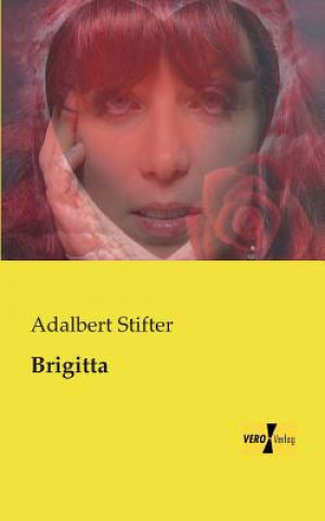 Libro Brigitta Adalbert Stifter