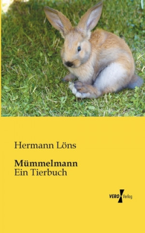 Könyv Mummelmann Hermann Löns