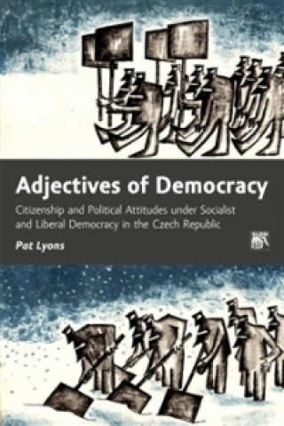 Книга Adjectives of Democracy Pat Lyons