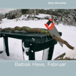 Kniha Baltisk Have, Februar Gitte Ahrenkiel