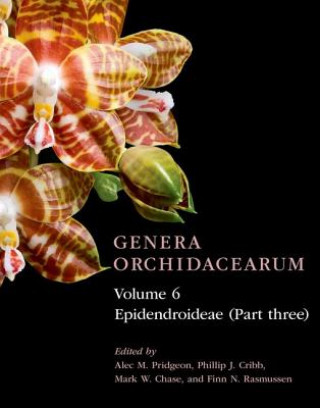 Könyv Genera Orchidacearum Volume 6 Alec M. Pridgeon