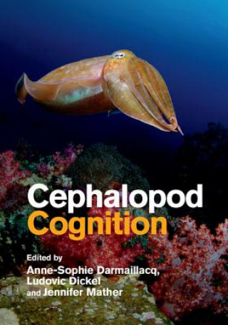 Kniha Cephalopod Cognition Anne-Sophie Darmaillacq