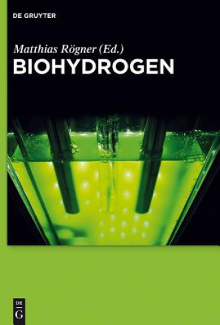 Könyv Biohydrogen Matthias Rögner