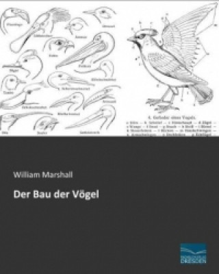 Knjiga Der Bau der Vögel William Marshall