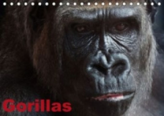 Naptár/Határidőnapló Gorillas / Geburtstagskalender (Tischkalender immerwährend DIN A5 quer) Elisabeth Stanzer