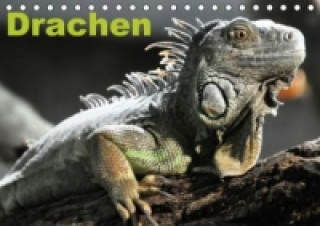 Kalender/Terminbuch Drachen / Geburtstagskalender (Tischkalender immerwährend DIN A5 quer) Elisabeth Stanzer