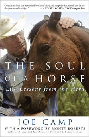 Kniha Soul of a Horse Joe Camp