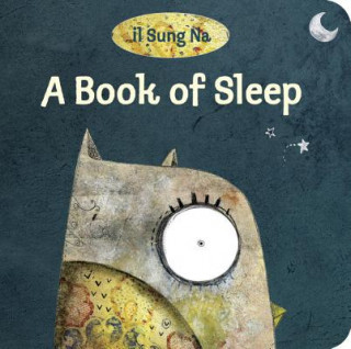 Kniha Book of Sleep Il Sung Na