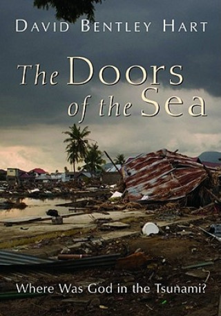 Könyv Doors of the Sea David Bentley Hart