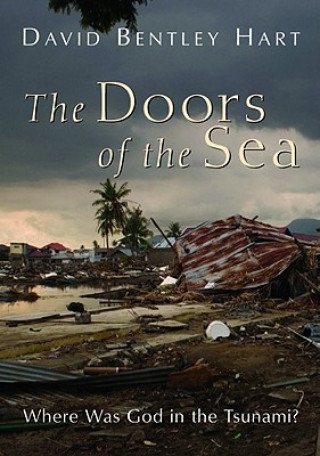 Knjiga Doors of the Sea David Bentley Hart