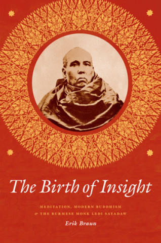 Knjiga Birth of Insight Erik Braun