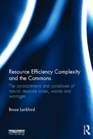 Könyv Resource Efficiency Complexity and the Commons Bruce Lankford