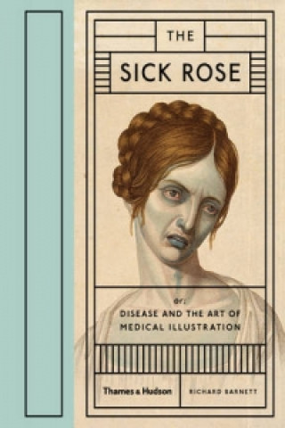 Kniha Sick Rose Richard Barnett
