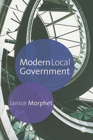 Book Modern Local Government Janice Morphet