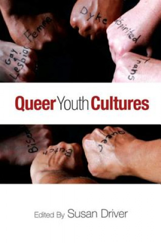 Knjiga Queer Youth Cultures Susan Driver
