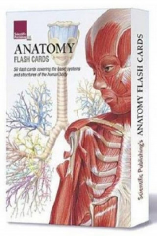 Materiale tipărite Anatomy Flash Cards Scientific Publishing