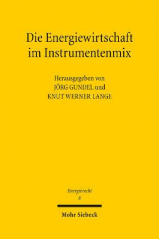 Libro Die Energiewirtschaft im Instrumentenmix Jörg Gundel