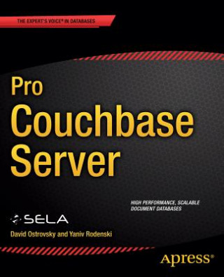 Carte Pro Couchbase Server David Ostrovsky