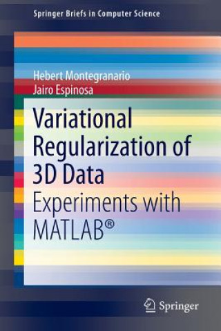 Knjiga Variational Regularization of 3D Data Hebert Montegranario