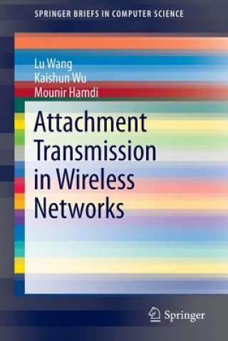 Kniha Attachment Transmission in Wireless Networks Lu Wang