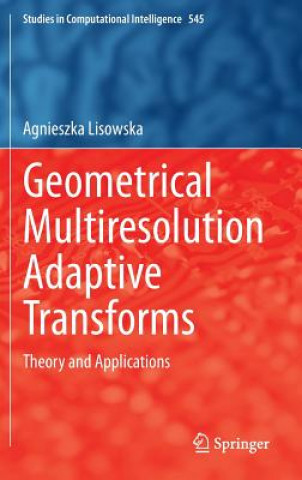 Kniha Geometrical Multiresolution Adaptive Transforms Agnieszka Lisowska