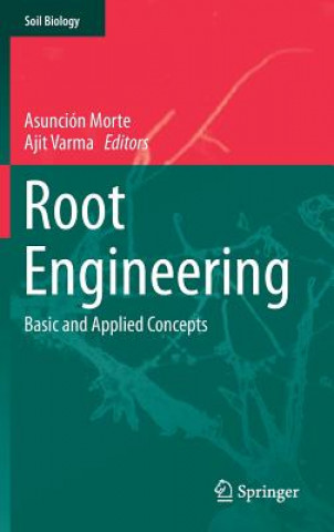 Carte Root Engineering Asunción Morte
