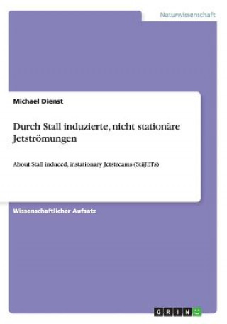 Kniha Durch Stall induzierte, nicht stationare Jetstroemungen Michael Dienst