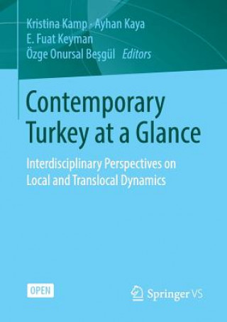 Buch Contemporary Turkey at a Glance Ayhan Kaya