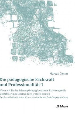 Carte p dagogische Fachkraft und Professionalit t Marcus Damm