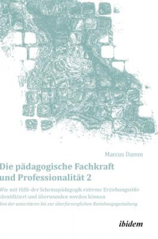 Kniha padagogische Fachkraft und Professionalitat Marcus Damm