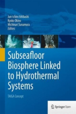 Книга Subseafloor Biosphere Linked to Hydrothermal Systems Jun-ichiro Ishibashi