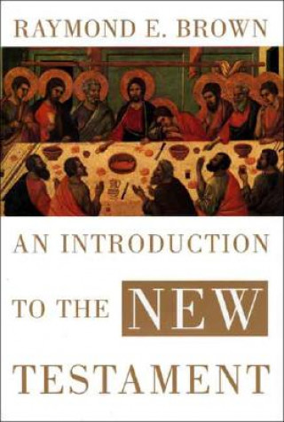 Kniha Introduction to the New Testament Raymond E. Brown