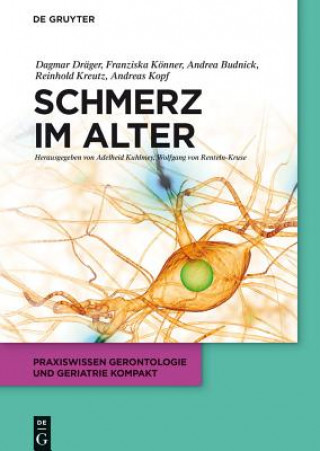 Book Schmerz im Alter Dagmar Dräger