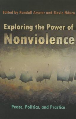 Carte Exploring the Power of Nonviolence Randell Amster