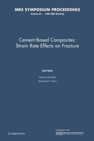 Könyv Cement-Based Composites: Volume 64 Sidney Mindess