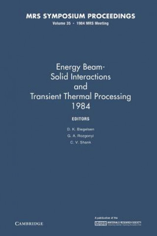 Könyv Energy Beam-Solid Interactions and Transient Thermal Processing 1984: Volume 35 D. K. Biegelsen