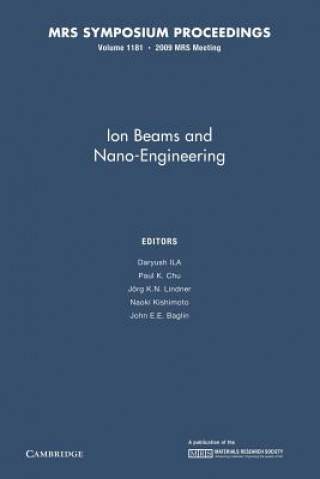 Carte Ion Beams and Nano-Engineering: Volume 1181 Daryush Ila