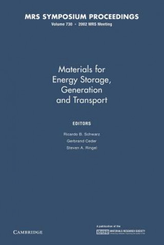 Carte Materials for Energy Storage, Generation and Transport: Volume 730 Ricardo B. Schwarz